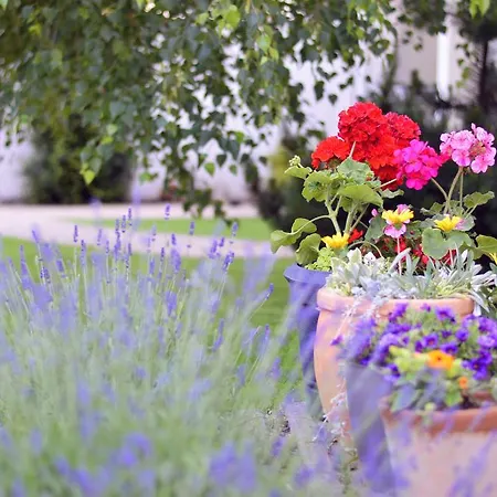 Boutique בית הארחה Jászberény